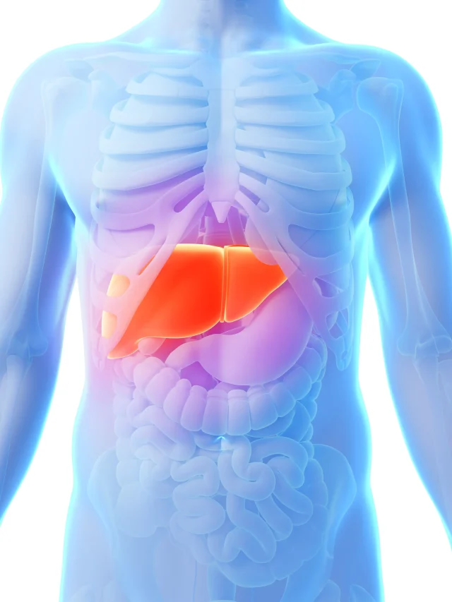 3d-rendered-illustration-male-liver