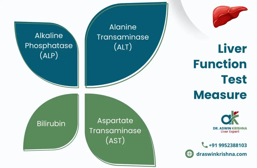 Liver Function Test in Chennai