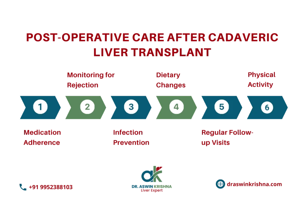 Cadaveric Liver